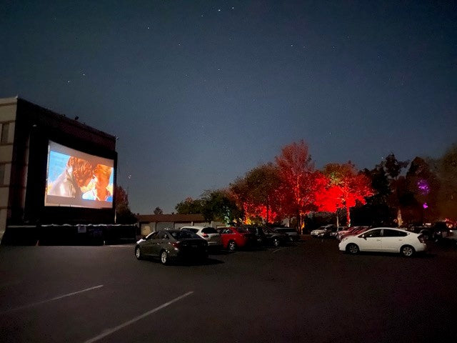 Outdoor Infrared Sauna