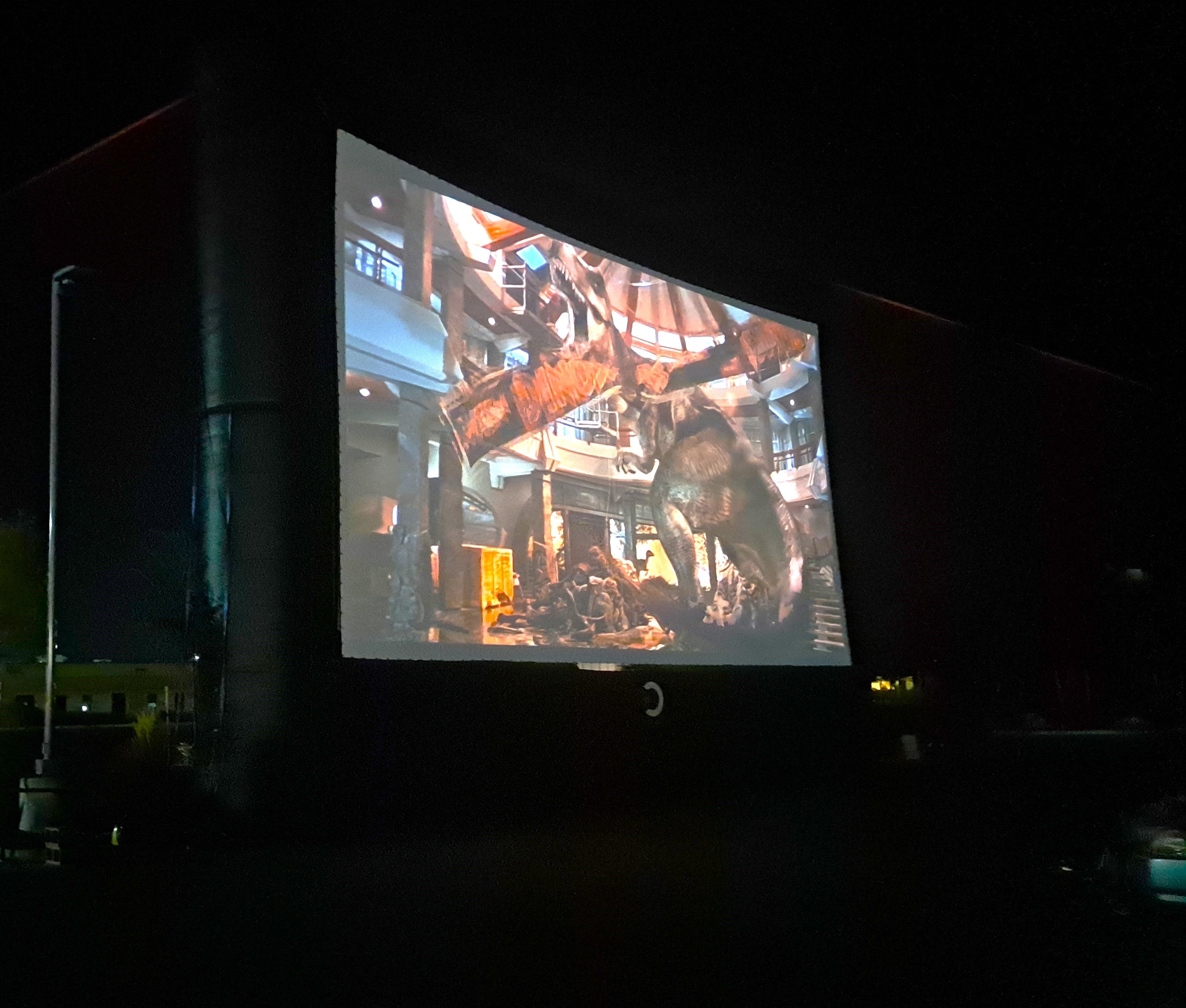 Outdoor Infrared Sauna